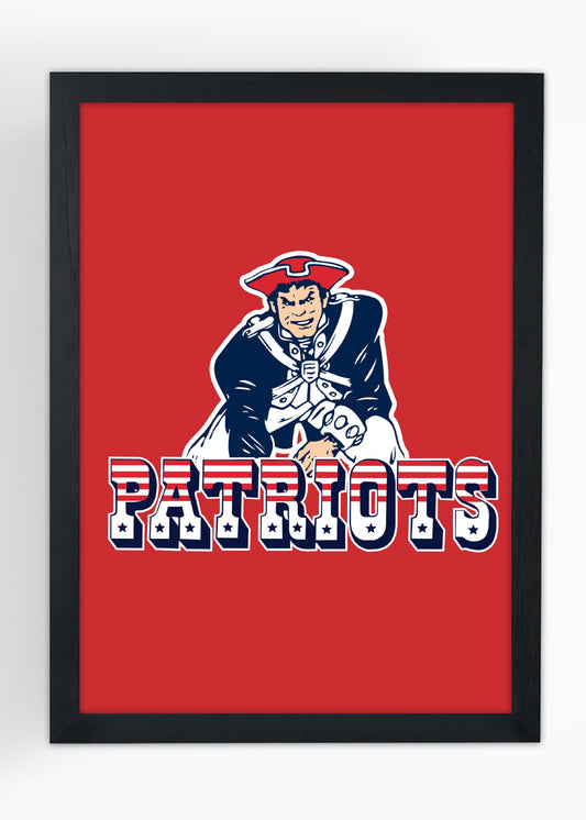 Quadro Decorativo New England Patriots