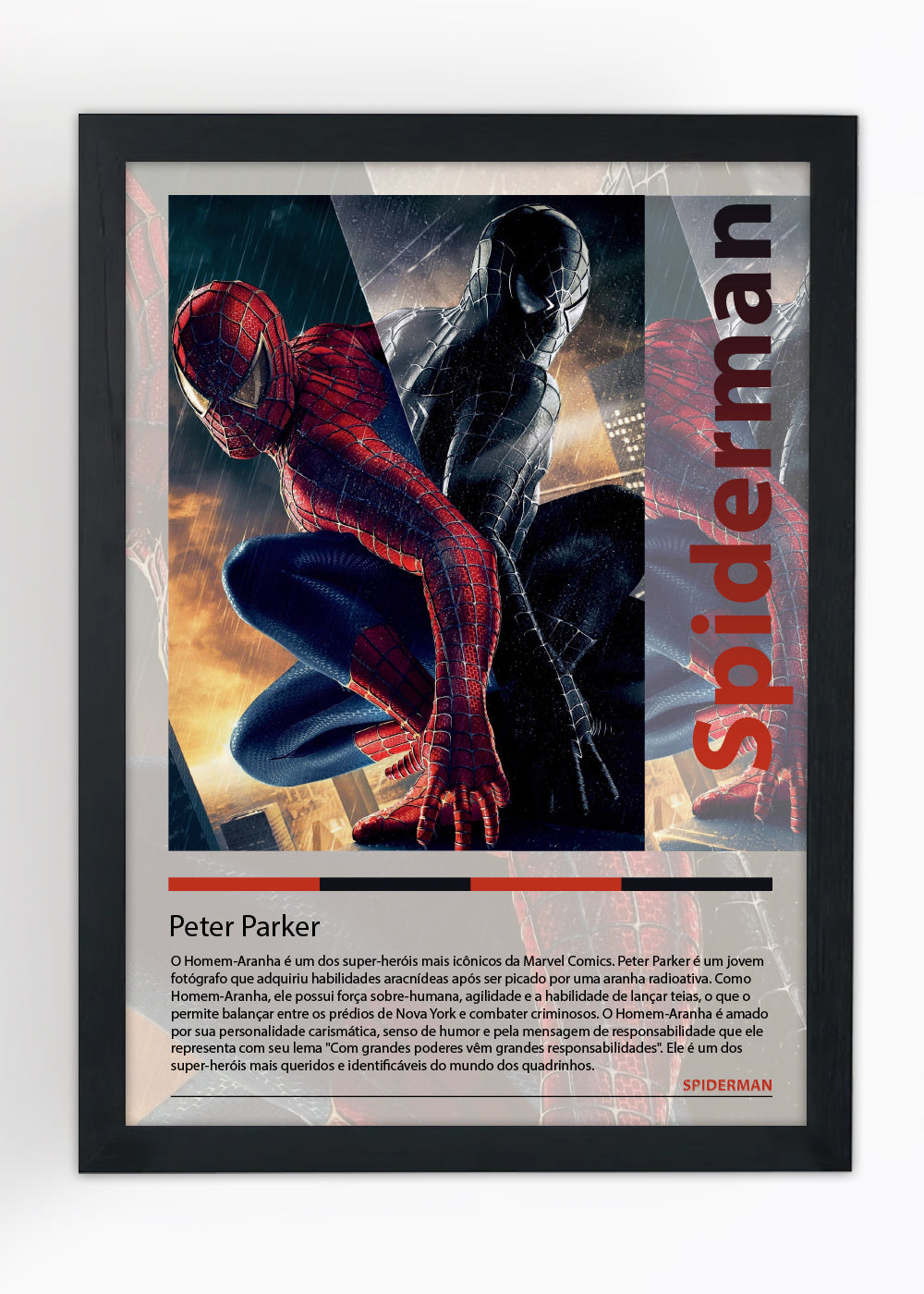 Quadro Homem-Aranha o filme - Com vidro