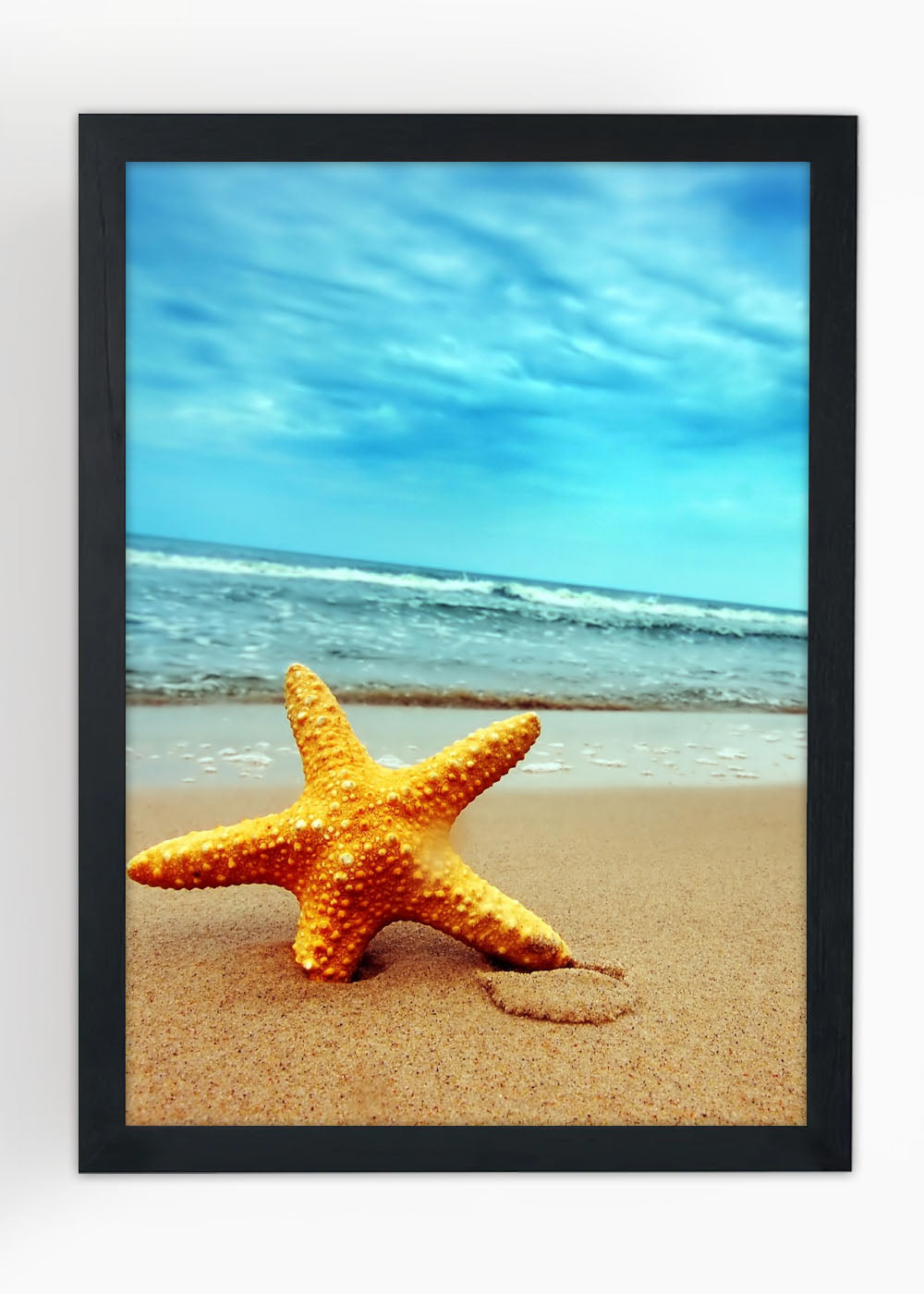 Quadro Decorativo Estrela do Mar