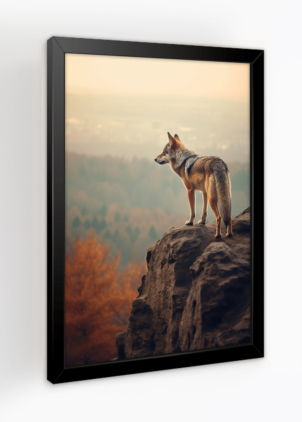 Quadro Decorativo olhar de um alfa - Animais - Com vidro